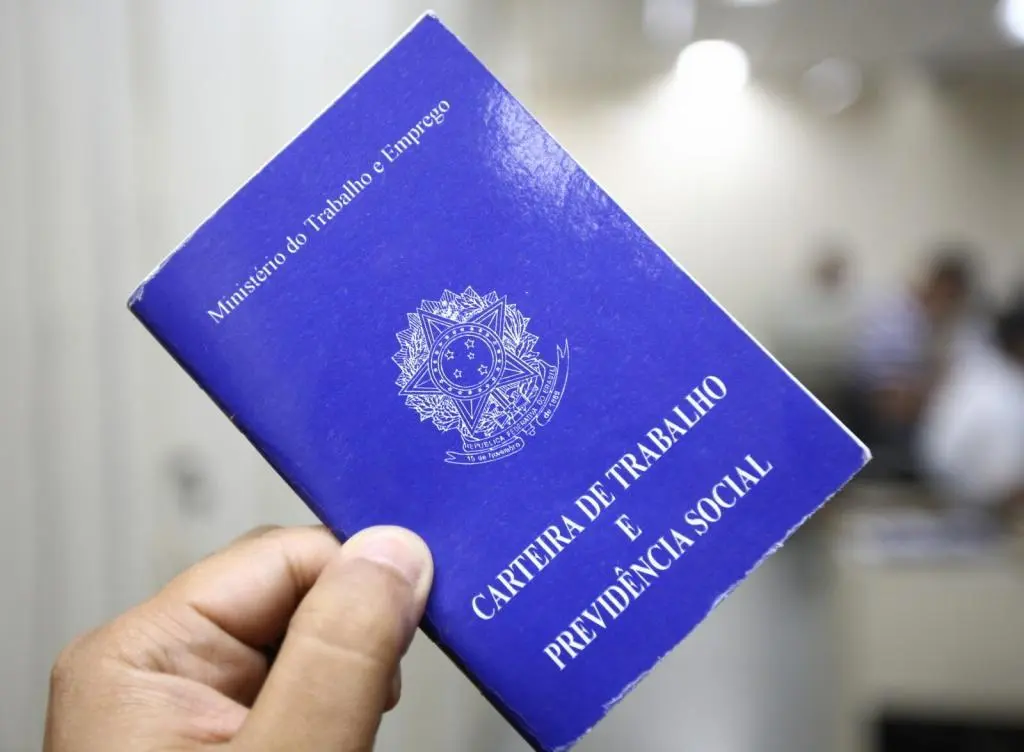 Desemprego entre jovens recua 50% entre 2019 e 2024