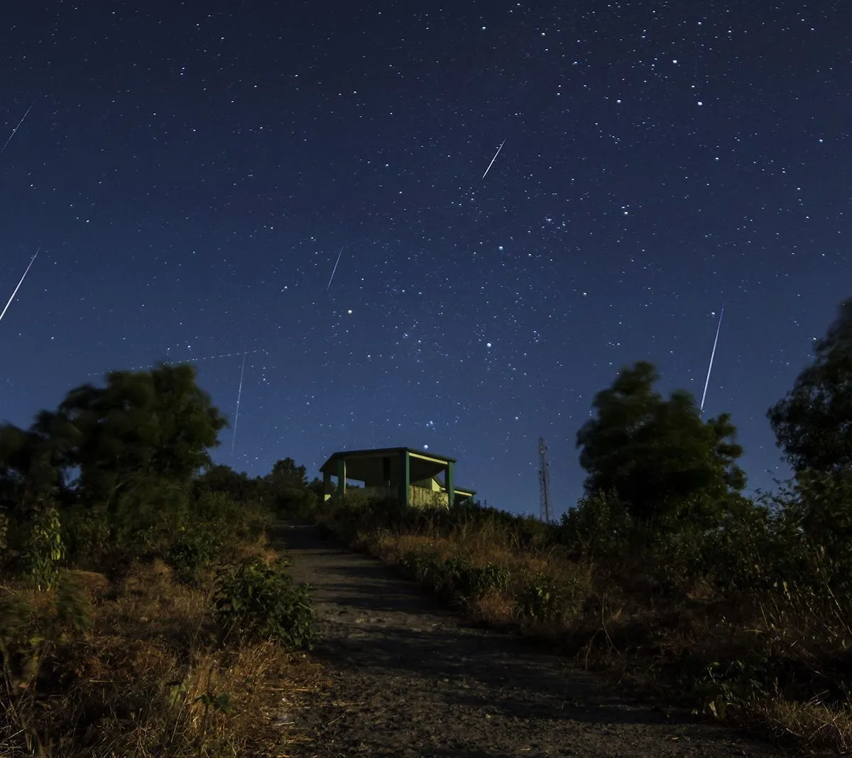 Chuva de meteoros Orionídeas poderá ser vista no Brasil nesta terça